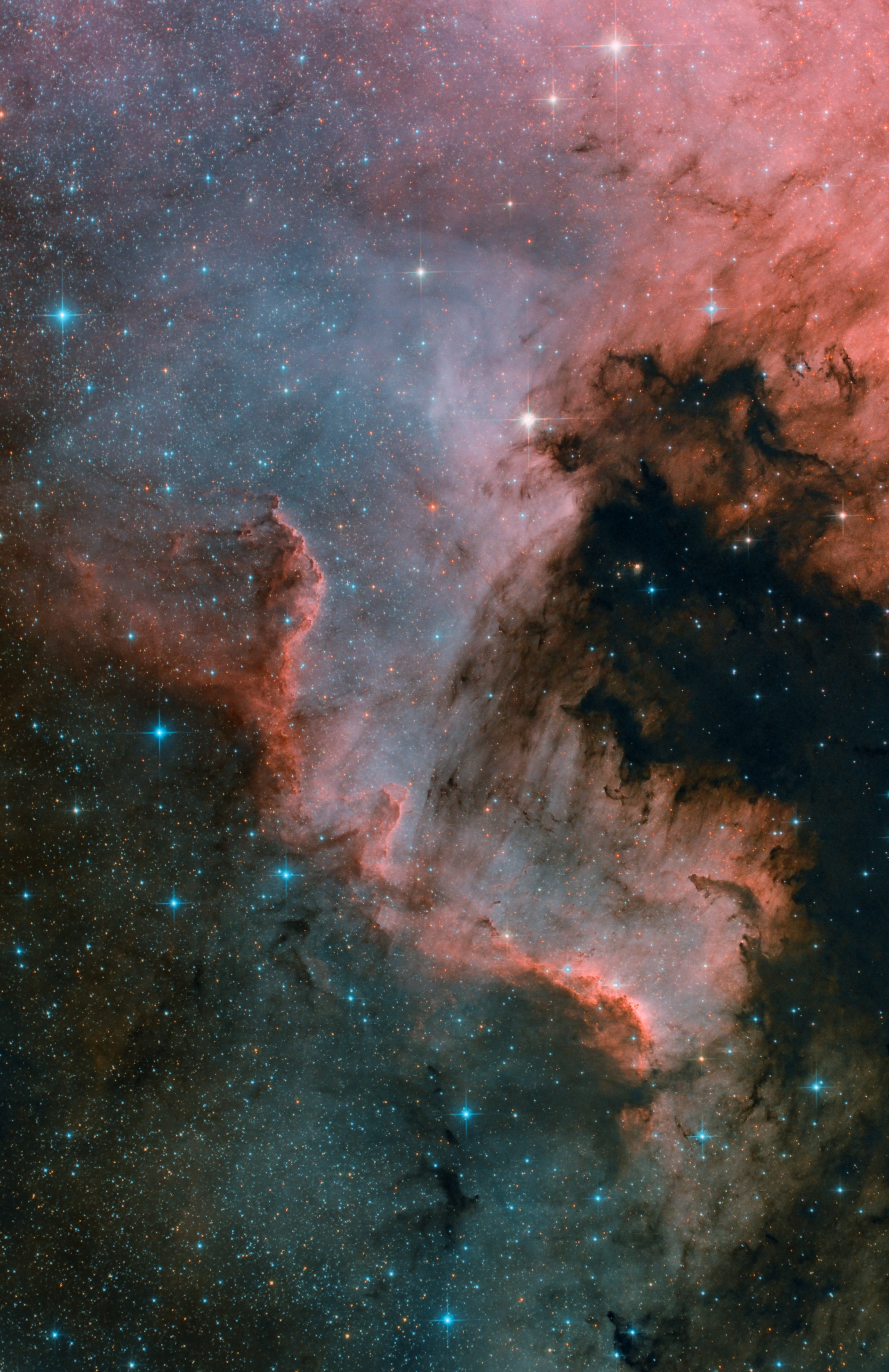 Cygnus wall