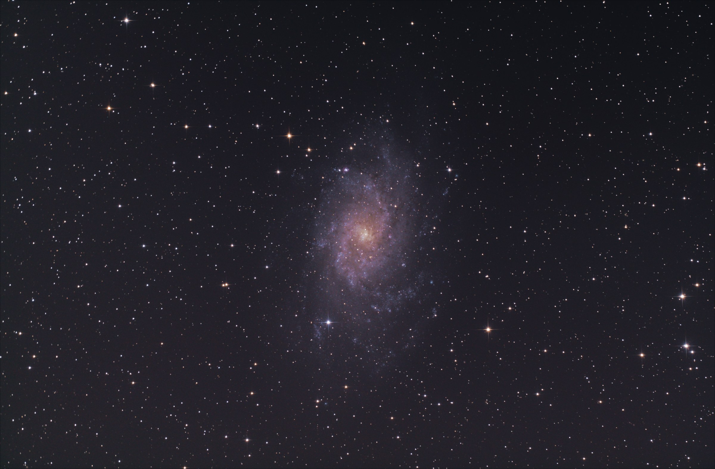 M33