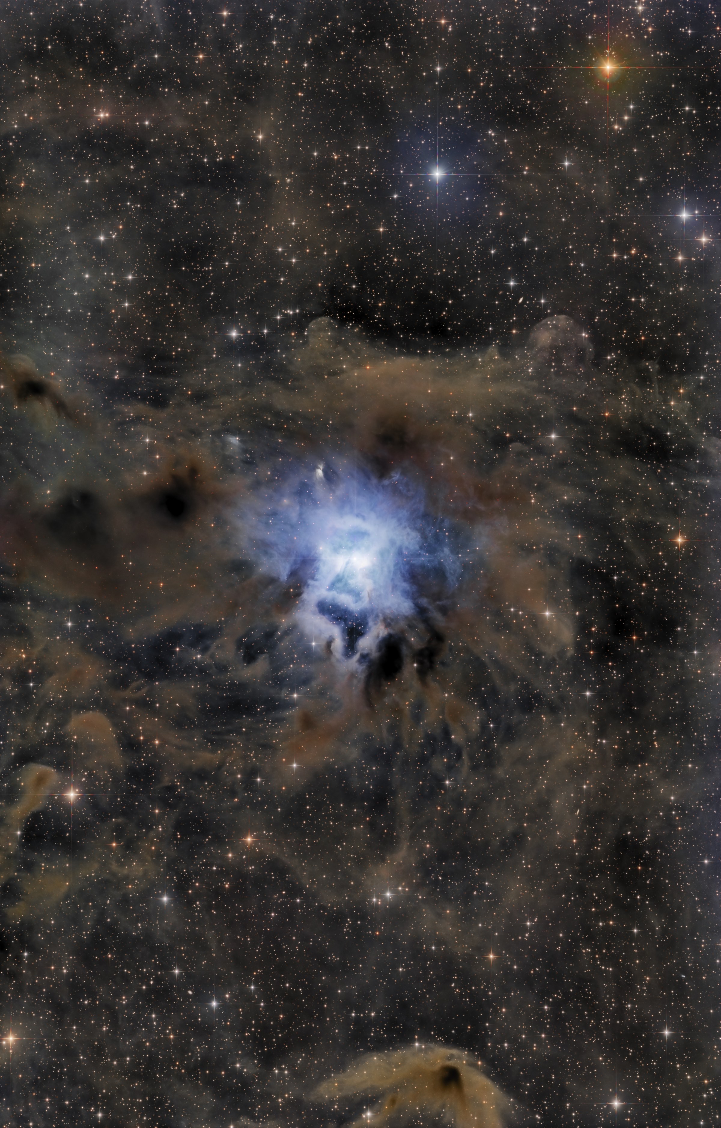 NGC 7023 (Iris Nebula)