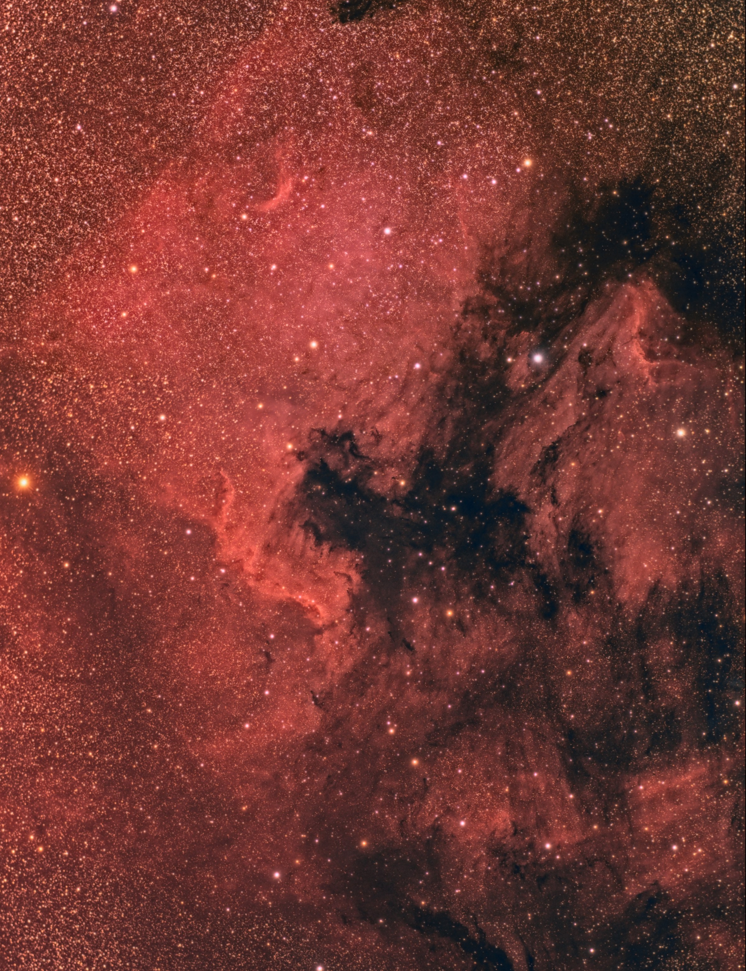 North America and Pelican Nebulae
