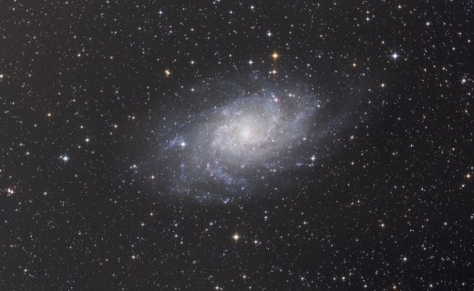 M33