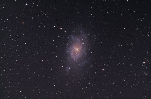 M33