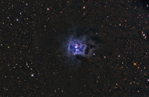 NGC7023 - Iris Nebula