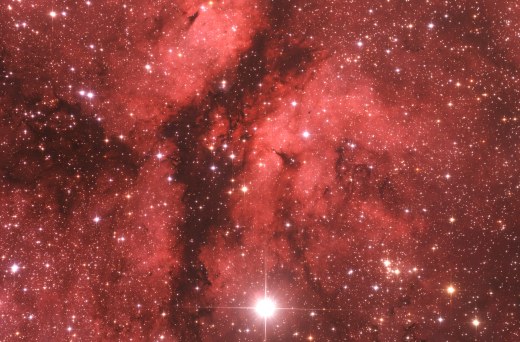 SADR - IC1318