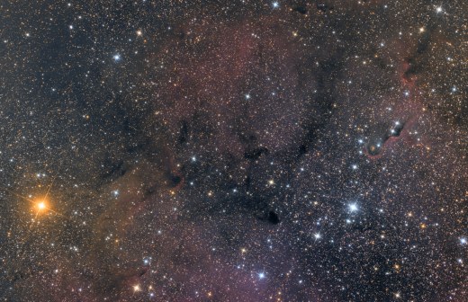 μ Cephei - vdB 142 (Elephant's Trunk Nebula)  - IC 1369
